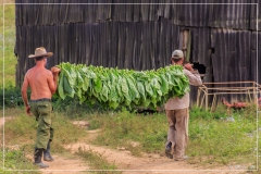 IMG_5833 (11-03-2017)-_cuba_traditions