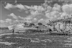 IMG_1445 (01-01-2018)_de_NB
