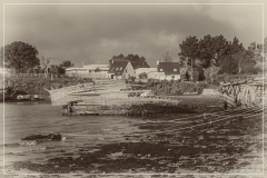 IMG_1485 (01-01-2018)_de_sepia