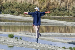 IMG_2528_deR (14-07-2014)_de_web
