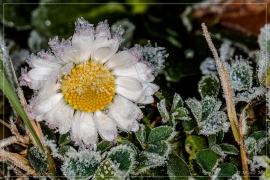 4L4A6542-08-01-2021_de_1200_web