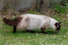 IMG_7487 (21-04-2024)_de-T_web_1200