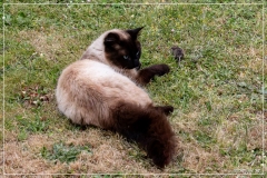 IMG_8080 (28-05-2025)_web1200