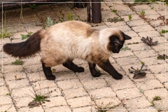 IMG_8092 (28-05-2025)_web1200
