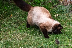 IMG_8099 (28-05-2025)_web1200