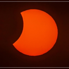 R5C_0473 (12-08-2026- 210148)_dTe